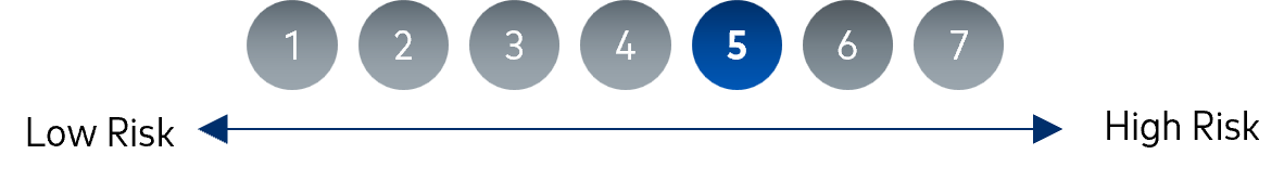 Risk Scale 5/7