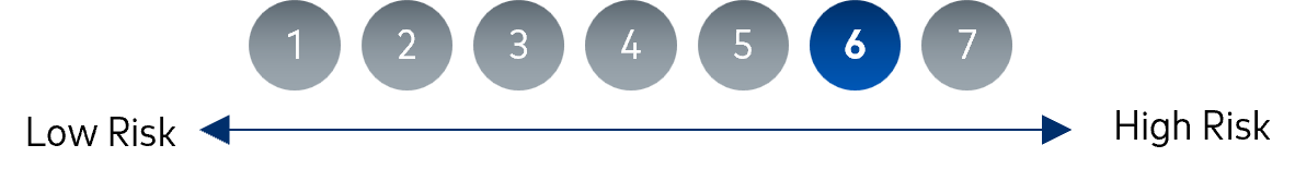 Risk Scale 6/7