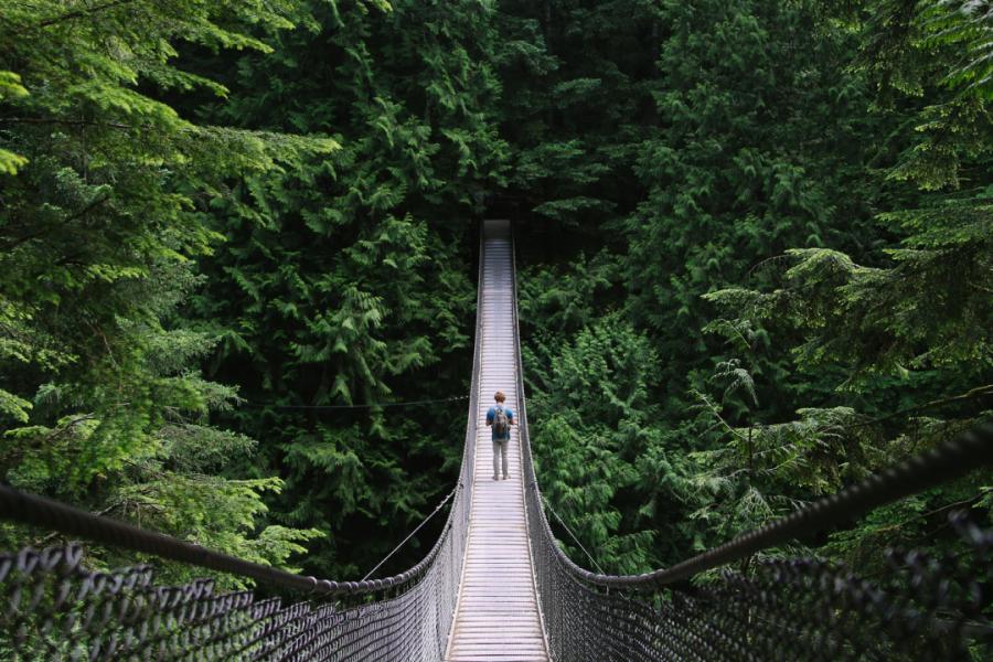 Person walking over a bridge in a jungle